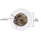 Westinghouse Ceiling Fan -Light Kit LED Schoolhouse, Antique Brass White Opal Glass 7785100 - alternate 2